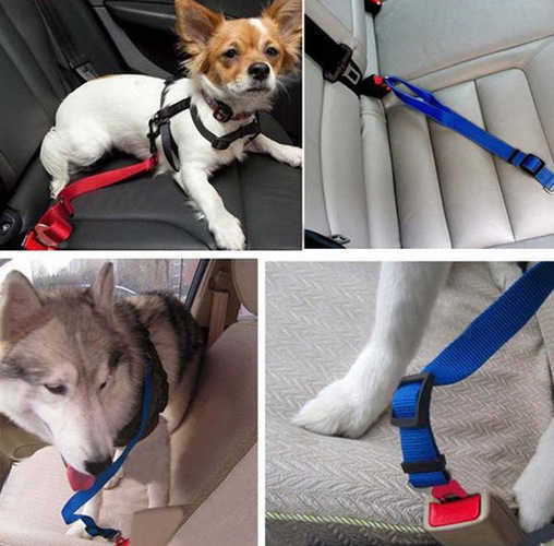 חגורת בטיחות לכלב מותאמת במיוחד לרכ...